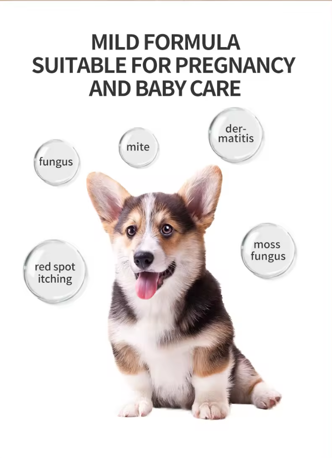 Custom Gentle and Effective Oral Care Spray for Dogs and Cats