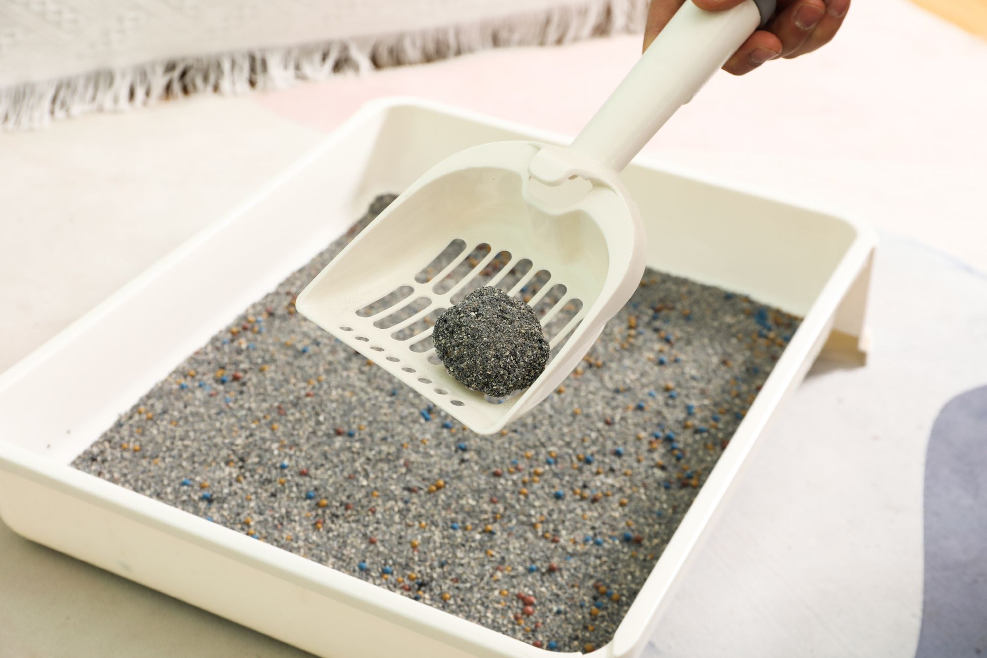 High-Performance Advanced Absorption Cat Litter for a Clean and Hygienic Environment