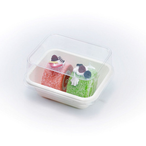 Food Container with clear lid Cake Box PET Disposable Box Sushi Container Deli supplies