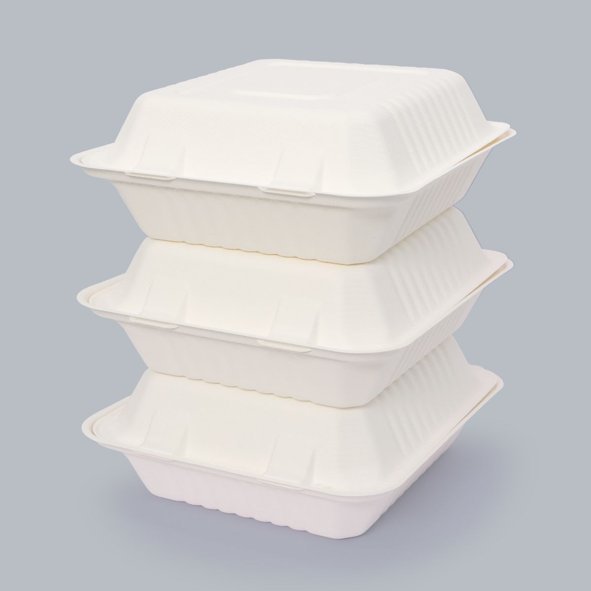 Disposable Tableware 8×8 Inch Flip-top Meal Box Factory Price Wholesale Food Packaging