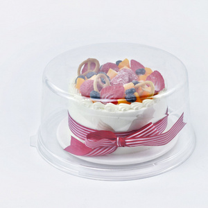 6 inch Round Food Container for Ice cream cake storage refrigerator safe freezing use