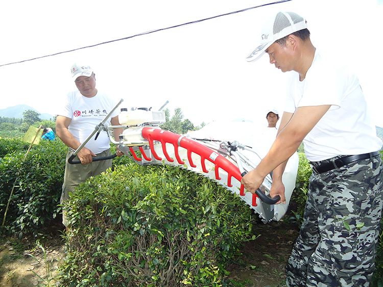 Two Man Operated 2 Stroke Petrol Power Tea Harvester Plucking Machine With Different Blade Length