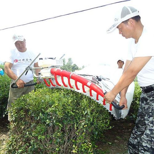 Two Man Operated 2 Stroke Petrol Power Tea Harvester Plucking Machine With Different Blade Length