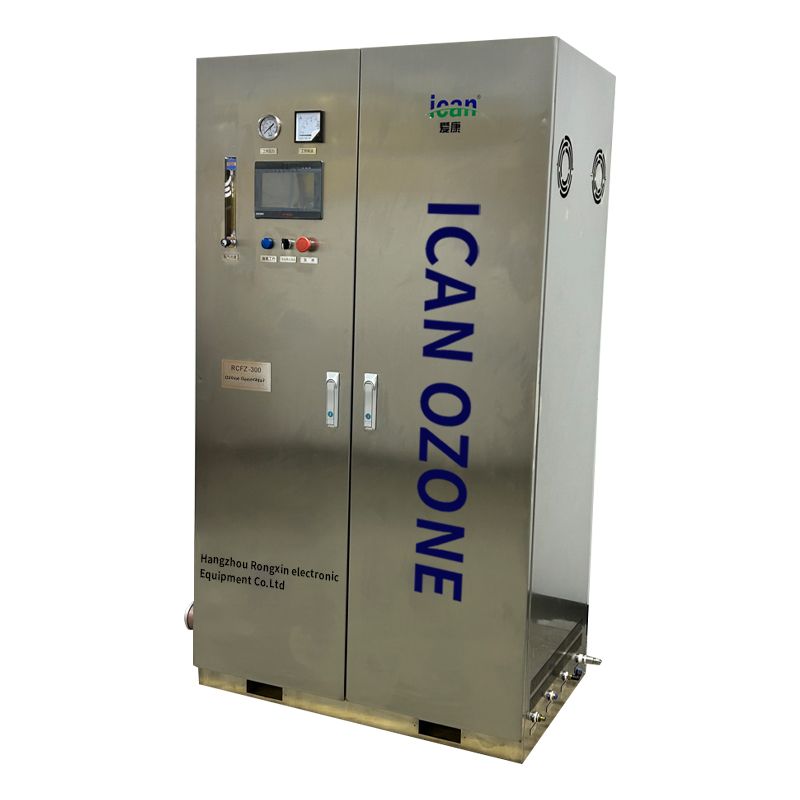 RCFZ series high concentration high output water treatment air sterilization ozonizer ozone water treatment machine