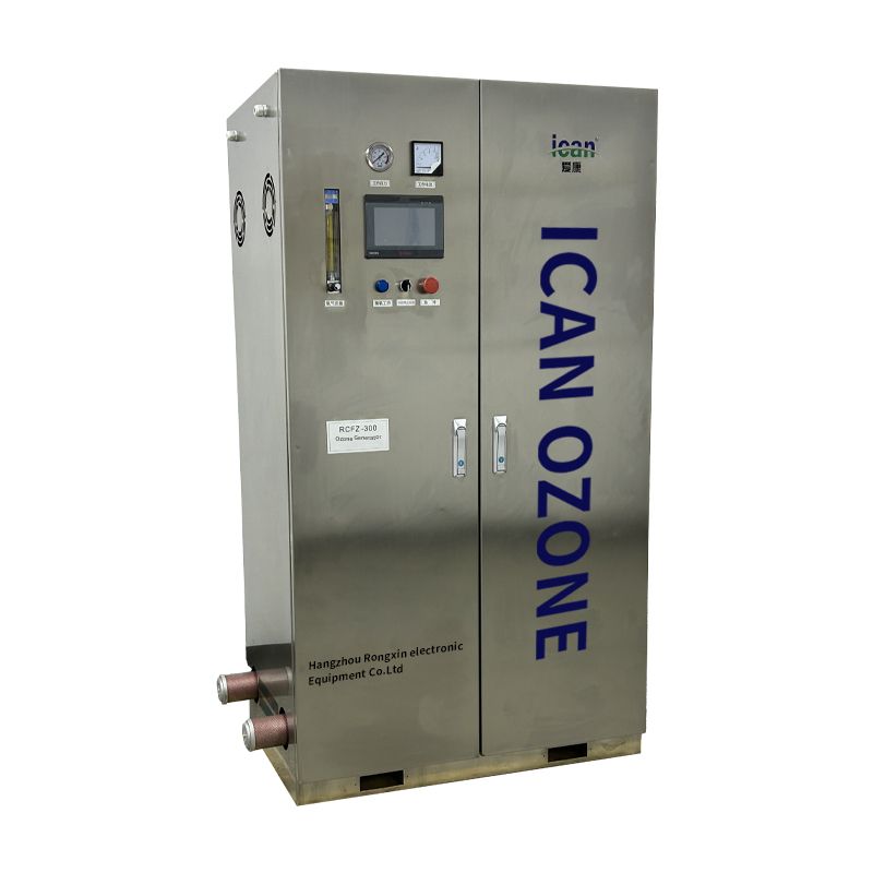 RCFZ series high concentration high output water treatment air sterilization ozonizer ozone water treatment machine