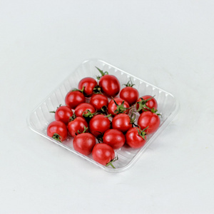 Clear Plastic Platter Food Container Fruit Vegetable Candy Nuts Tray Food Grade PET