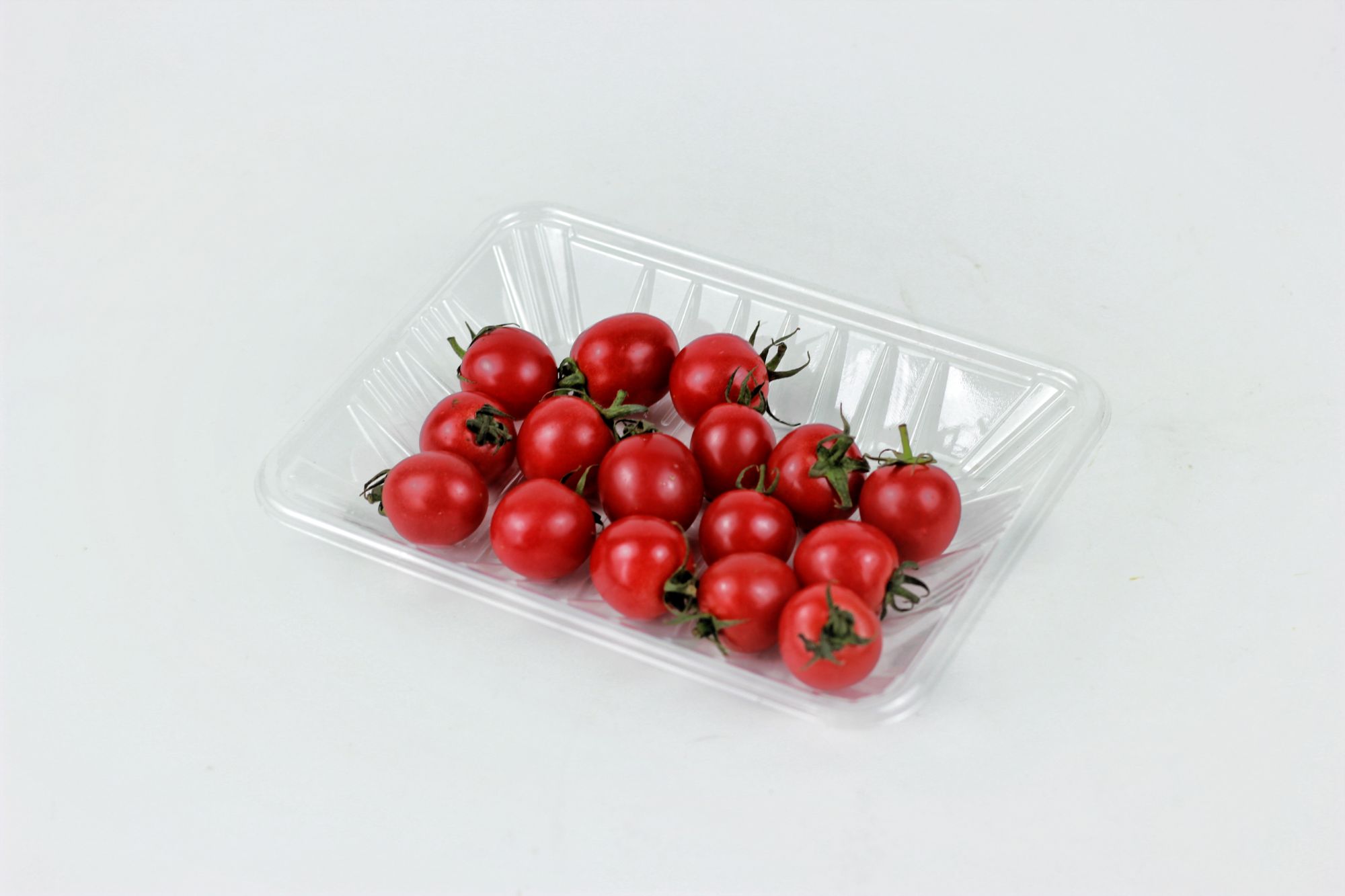 Free Sample Clear Food Fruit Veggie Cake Food Grad PET Plastic Tray Rectangular Serving Platter