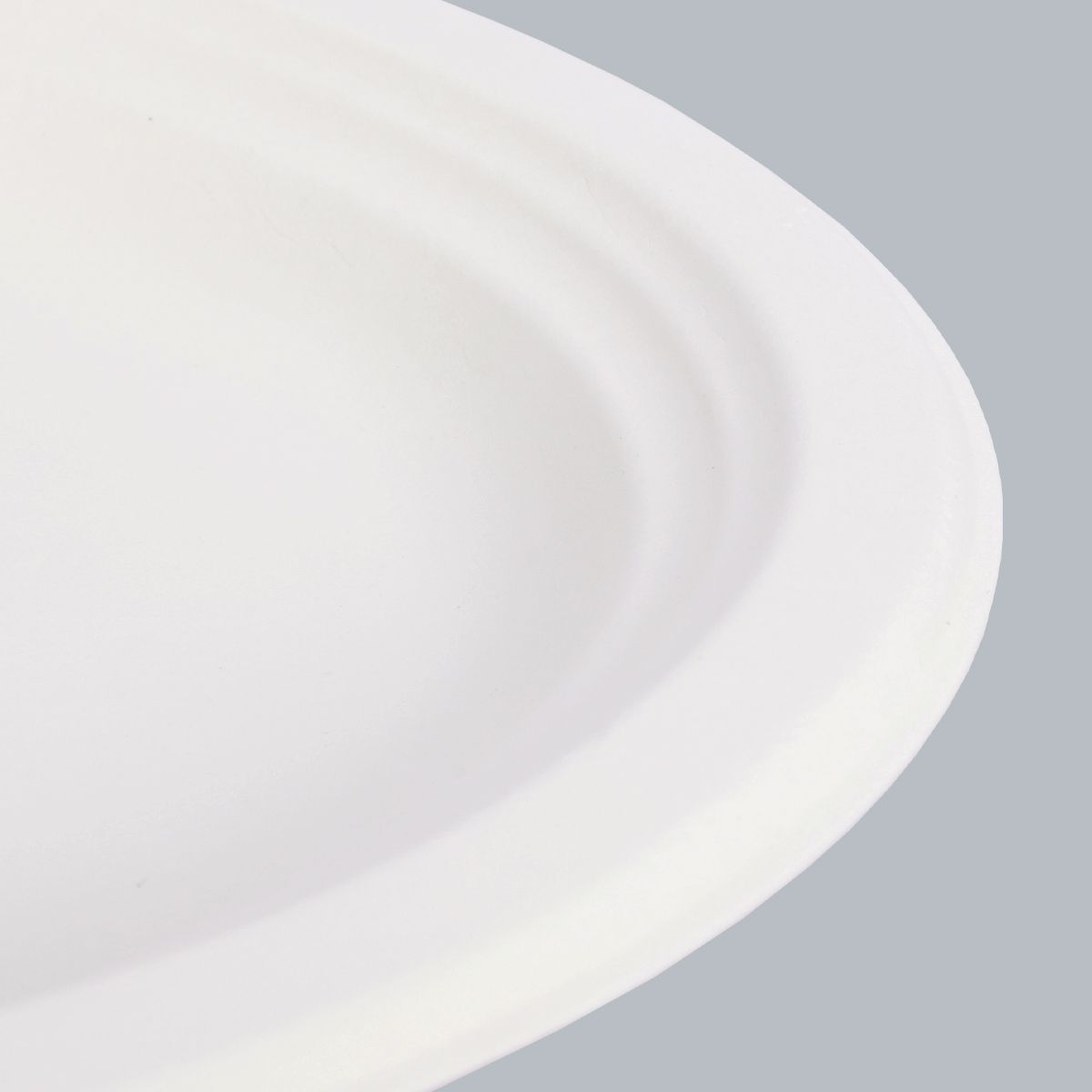 12.5 inch Round Plate Compostable Paper Plates Eco-Friendly Tableware Food Packaging Biodegradable