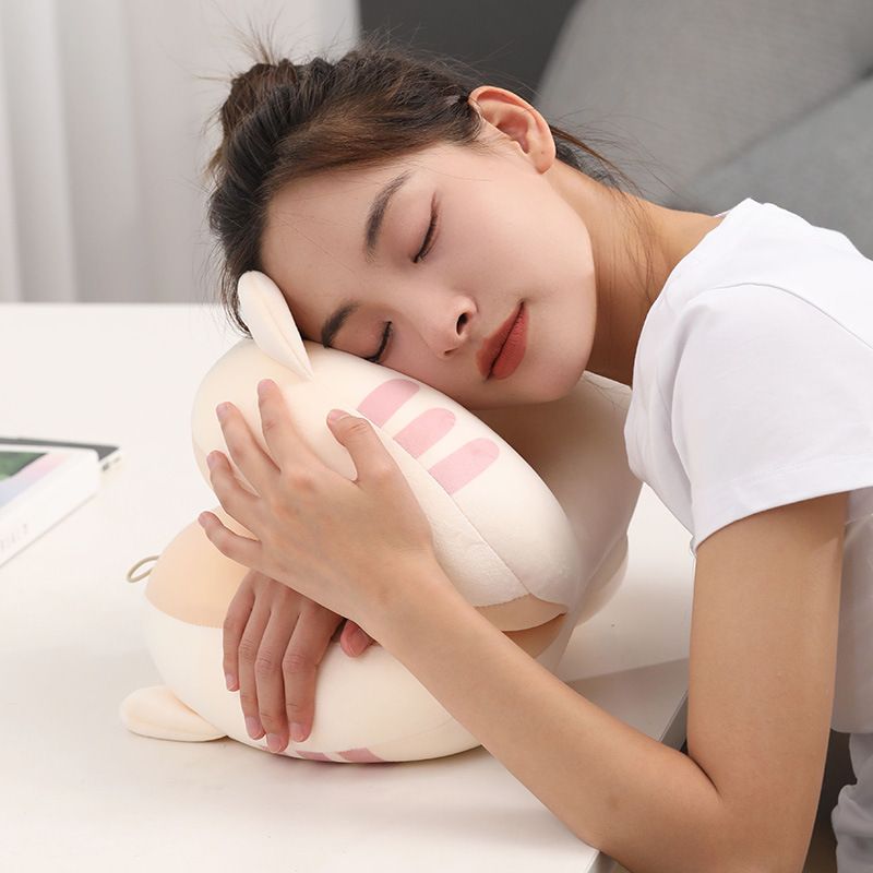 Cooling and Warming Dual-Sided Nap Pillow for Office and Student Use