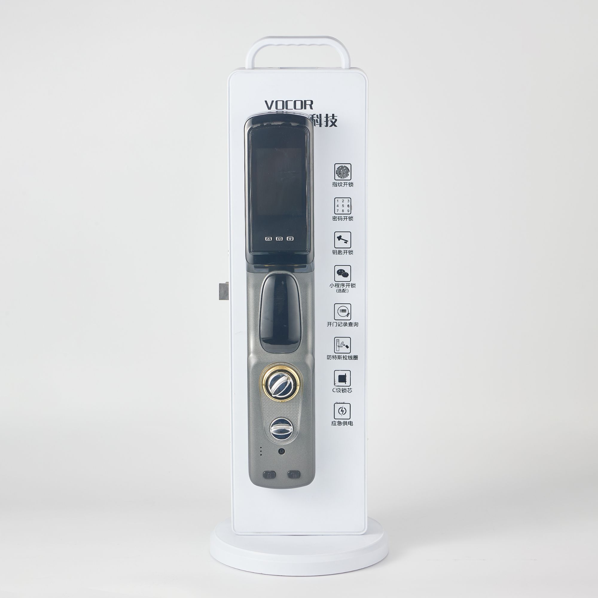 Face recognition Password Biometric Unlock Connected Camera Monitor Send Photo To Mobile Smart Lock