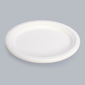 Disposable Tableware 12.5-inch Oval Plate Sustainable Food Packaging Compostable Food Trays Eco-Friendly