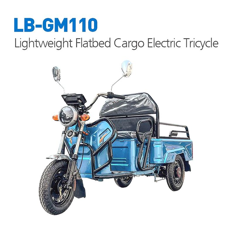 Hot Selling Heavy Loading Capacity Electric Tricycles Trailer for Cargo