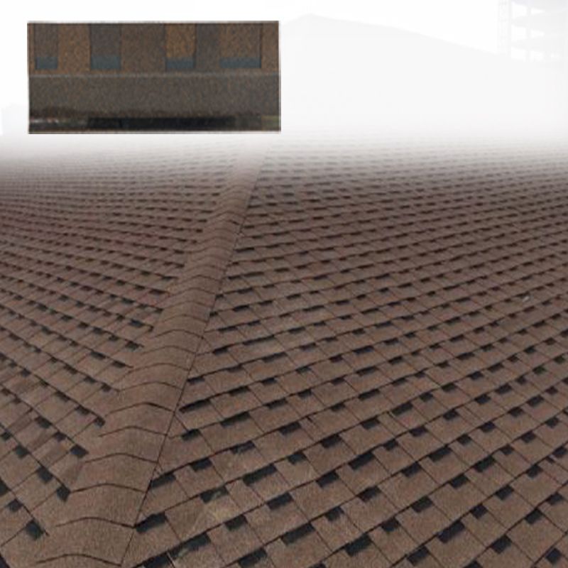 Colored Fiberglass Reinforced Asphalt Shingles for Roofing