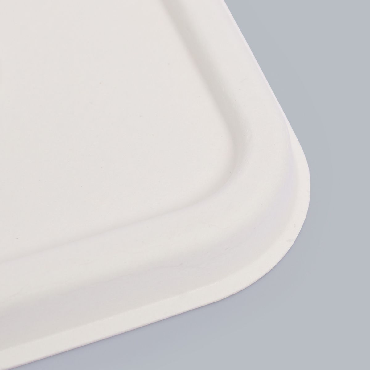 Biodegradable tableware box lid packaging food packaging supplier Customized tableware ECO-Friendly