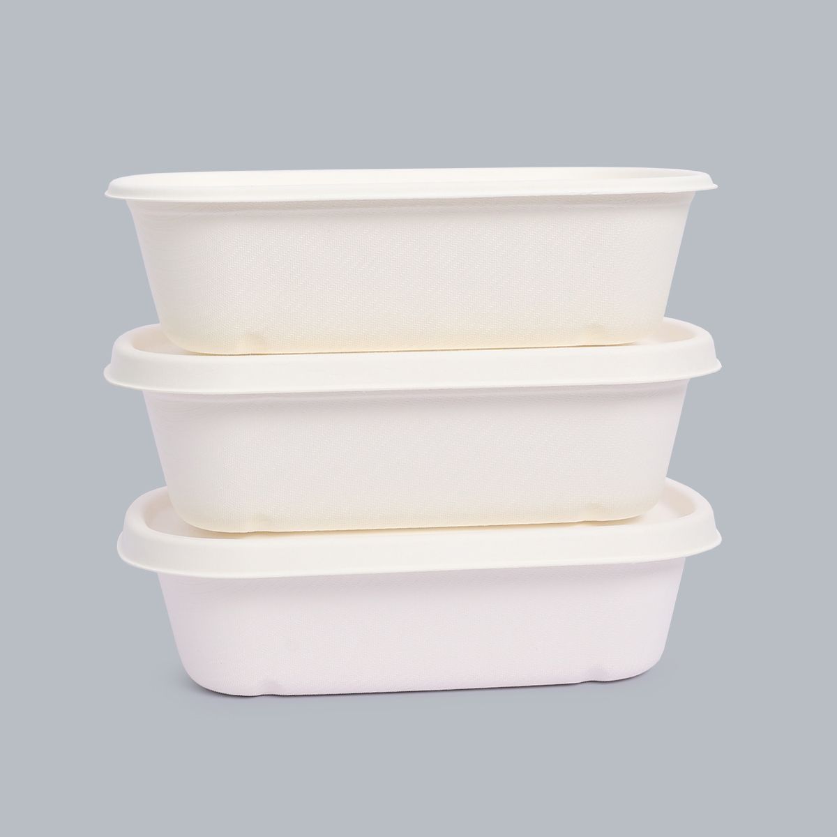 Biodegradable tableware 700ml box packaging food packaging supplier disposable tableware