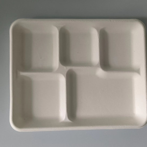 Environmentally friendly tableware, five-grid dinner plates, disposable lunch boxes, biodegradable, bamboo pulp, sugarcane