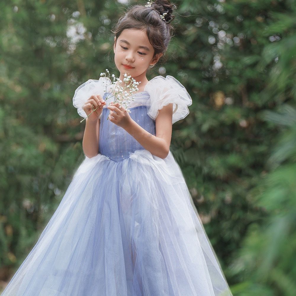 Blue Princess Dress for Kids with Puffy Sleeves and Sequined Tulle Skirt Perfect for Birthdays, Parties, and Formal Events