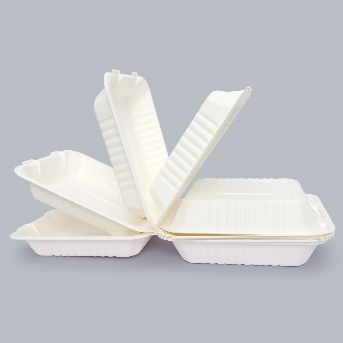 8×8 Inch Flip-top Disposable Tableware Meal Box Factory Price Wholesale Food Packaging Biodegradable tableware