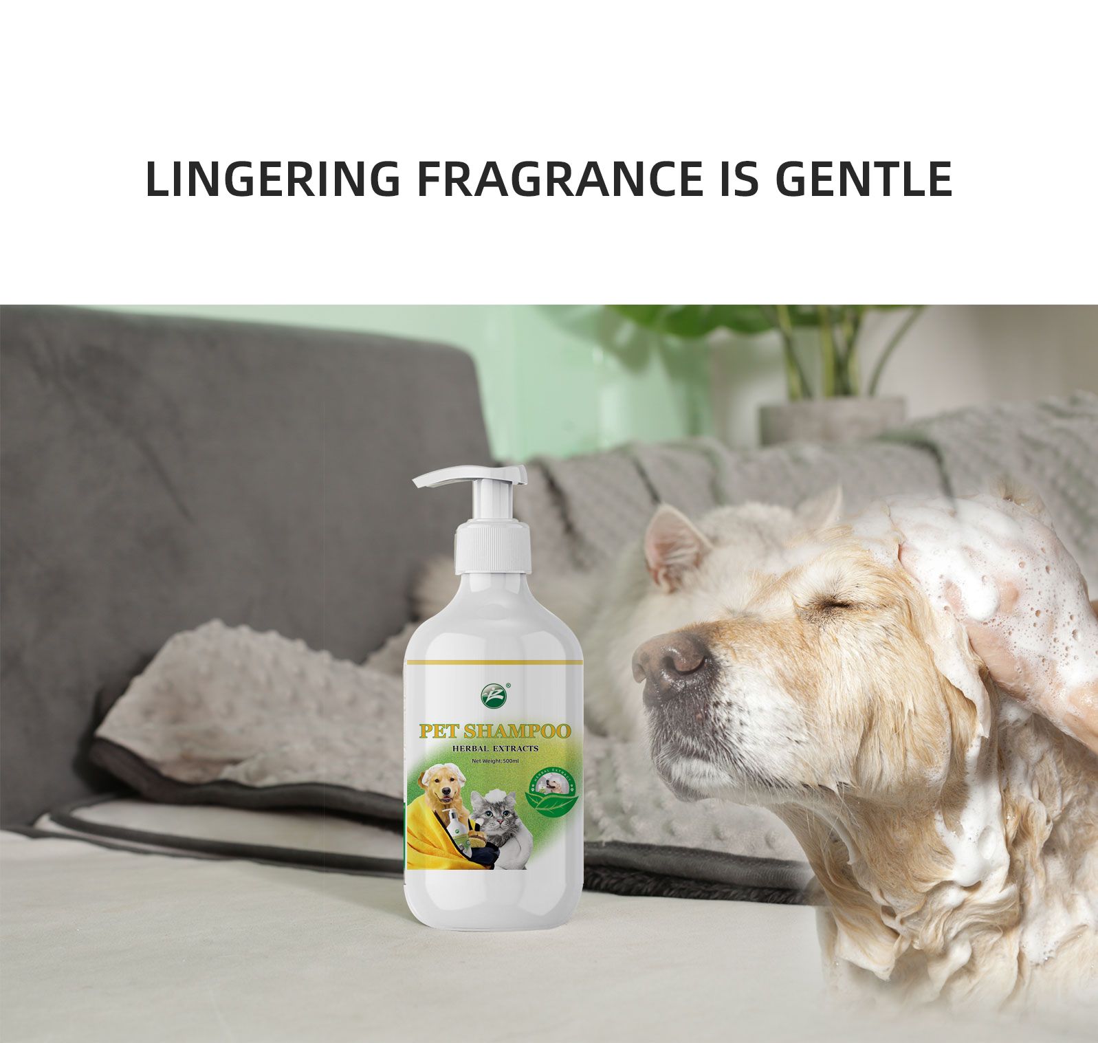 High Quality Organic Pet Cleaning Gel Shampoo Eco-Friendly Dog Grooming for Cats Bath & Beauty Product