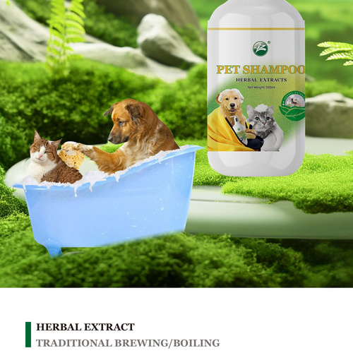 Made In China Organic Shampoo High Performance Chamomile Extract Pet Shampoo