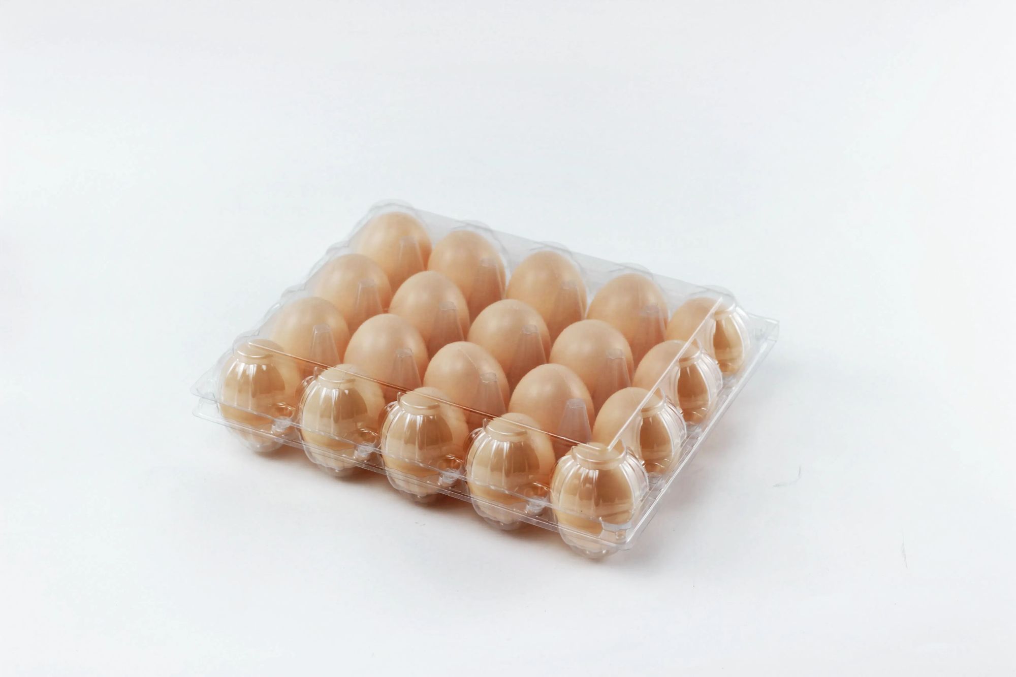 Clear Egg Cartons Plastic Bulk Empty Egg Tray for Chicken Farm Business Market Home Refrigerator Storage 2*5 grids