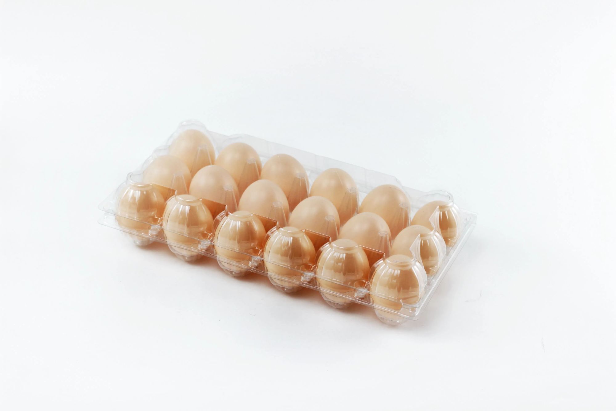 Clear Egg Cartons Plastic Bulk Empty Egg Tray for Chicken Farm Business Market Home Refrigerator Storage 2*5 grids