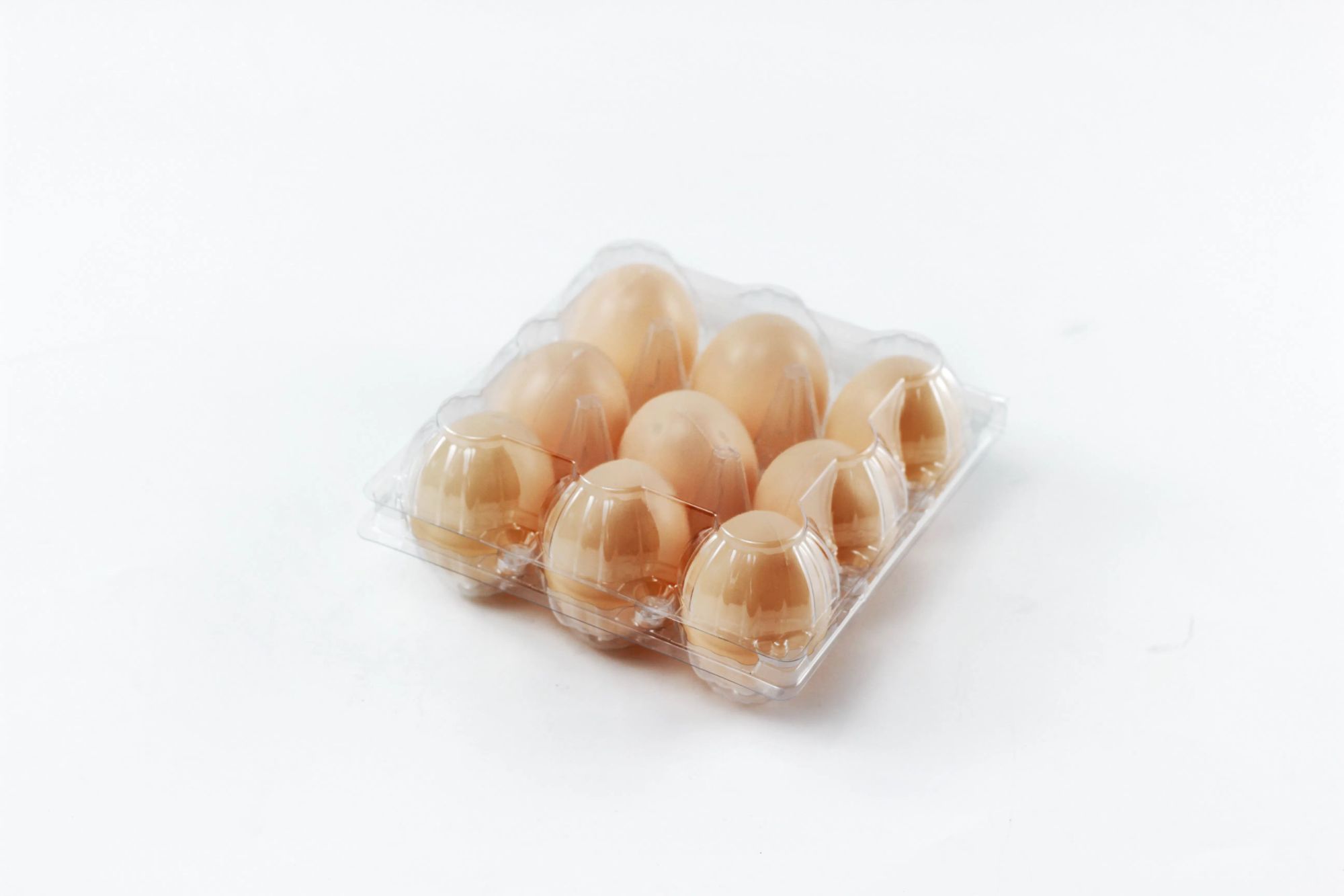 Free Sample 8 Section High Quality Plastic Clear Egg box Egg Tray for Wholesale Farm Use