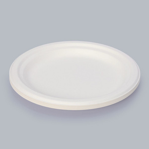 9-inch plate, environmentally friendly tableware, food container, disposable tableware, food packaging,factory Outlet