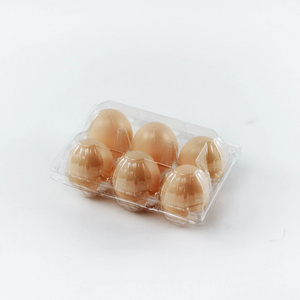 Free Sample 6 Section High Quality Plastic Clear Egg box Egg Tray for Wholesale Farm Use