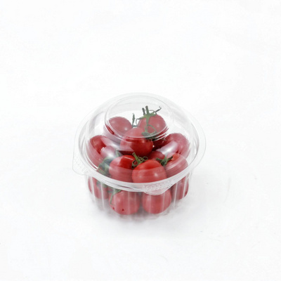 Food Container To Go Container Disposable Takeout Box with Lid for Salads Fruit Hamburgers Nuts Snacks