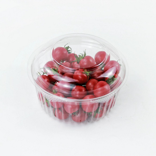 Free Sample High Quality Food Grade PET Clear Plastic Food Container for Fruit Salad Hamburgers