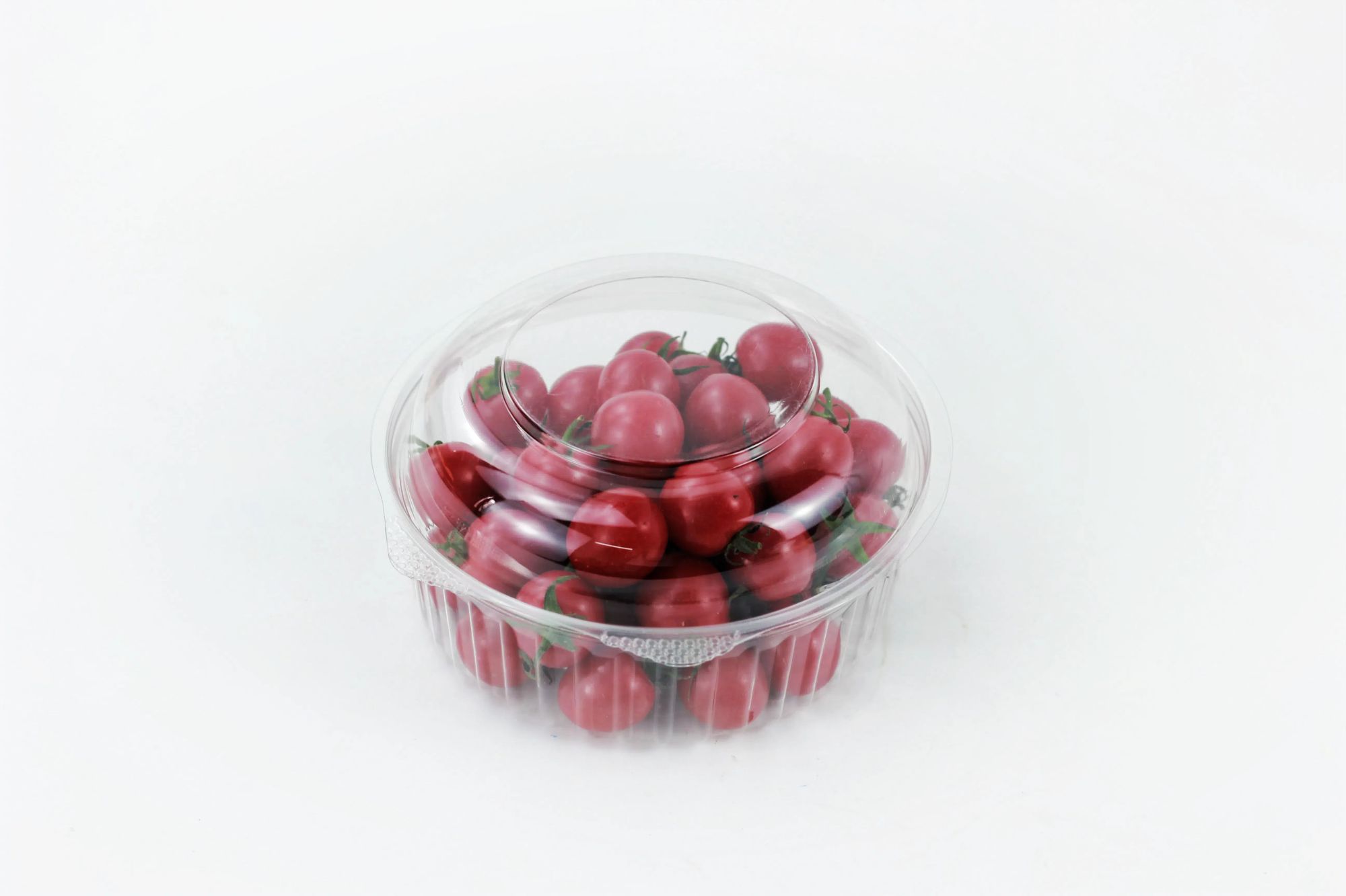 Free Sample High Quality Food Grade PET Clear Plastic Food Container for Fruit Salad Hamburgers