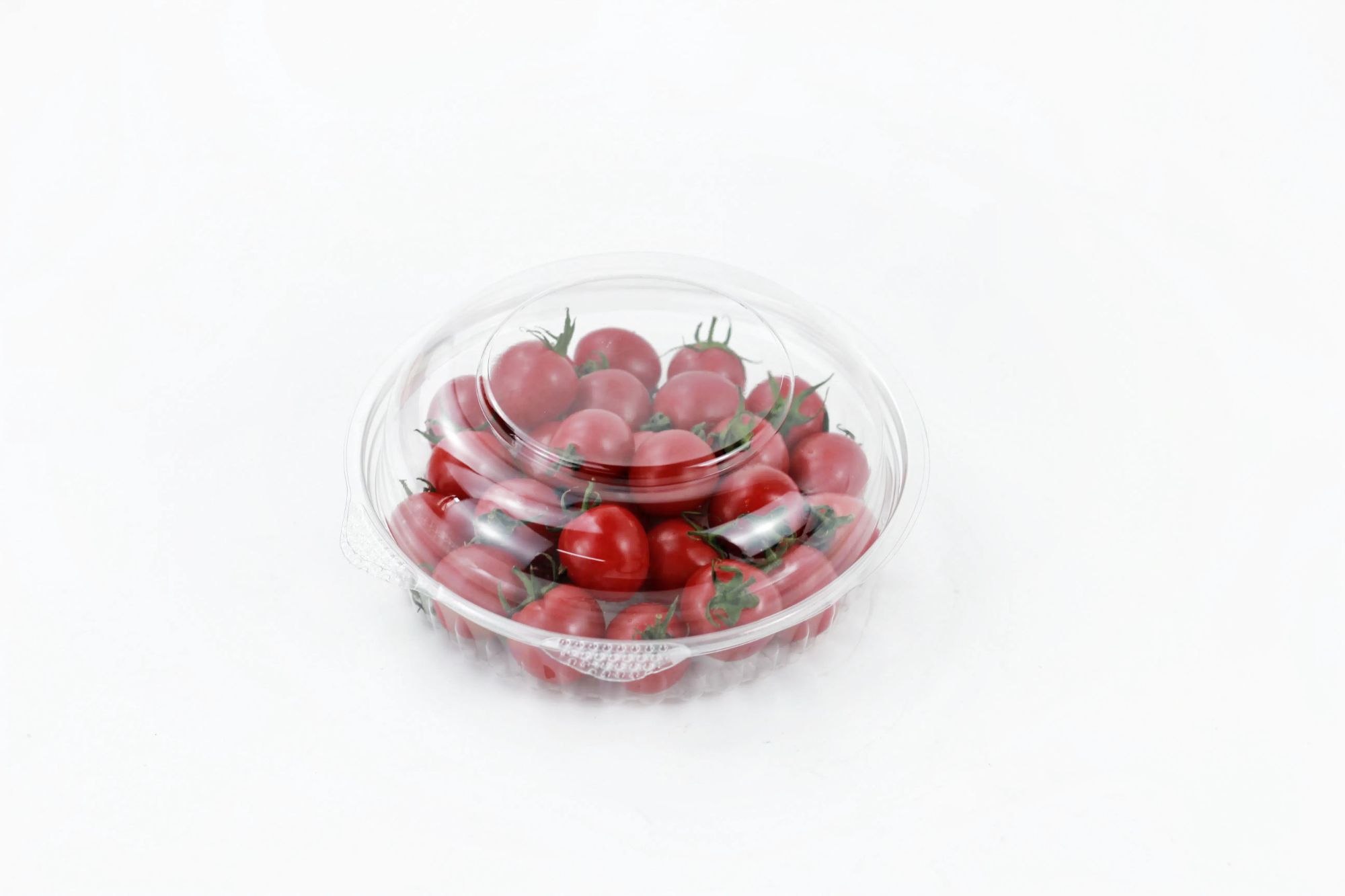 Free Sample High Quality Food Grade PET Clear Plastic Food Container for Fruit Salad Hamburgers