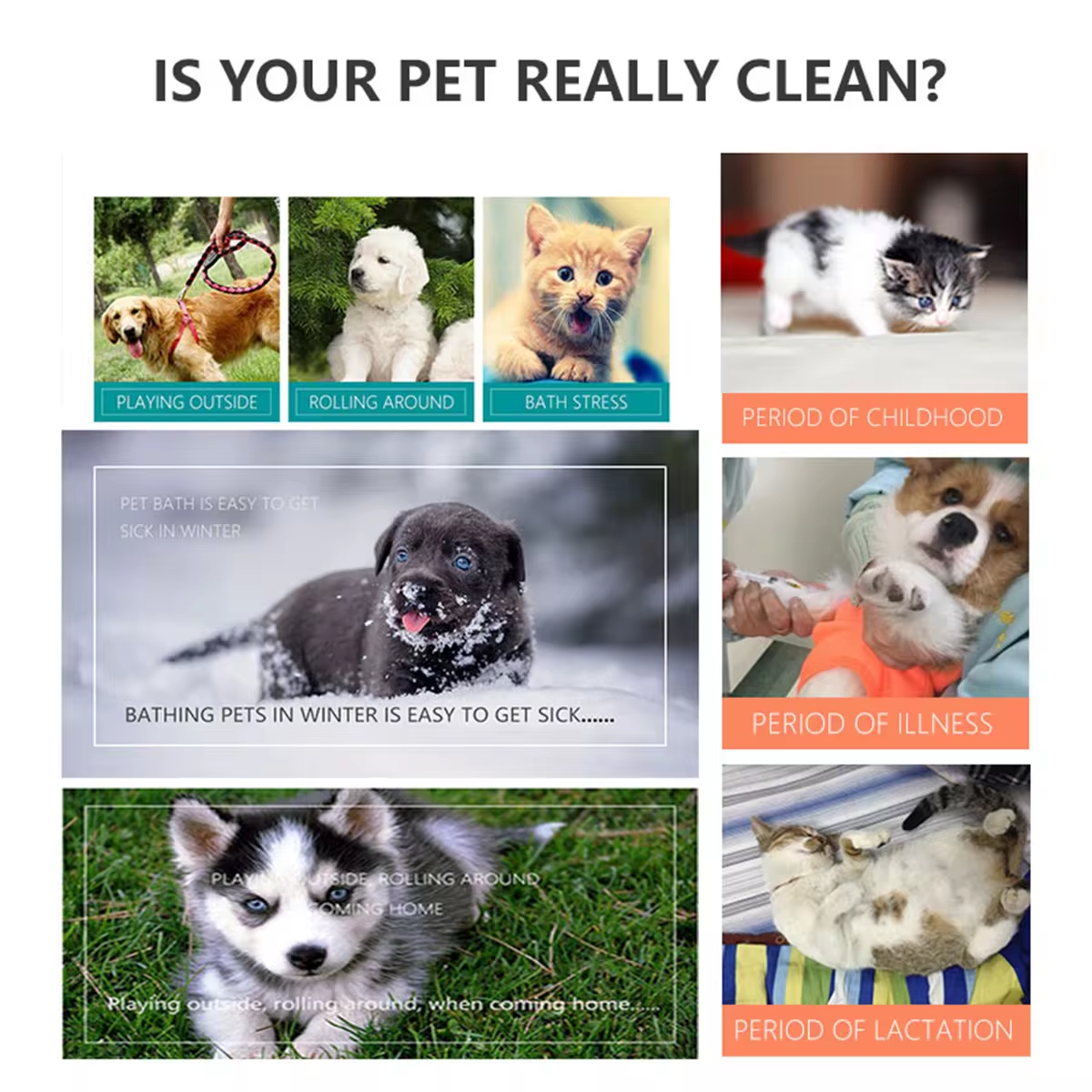 No Rinse Disposable Pet Cleaning Gloves Wipes For Dogs And Cats