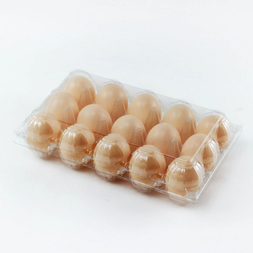 Free Sample 15 Section High Quality Plastic Clear Egg box Egg Tray for Wholesale