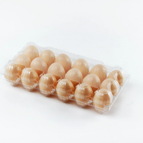 Free Sample 18 Section High Quality Plastic Clear Egg box Egg Tray for Wholesale