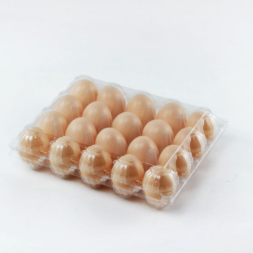 Free Sample 20 Section High Quality Plastic Clear Egg box Egg Tray for Wholesale