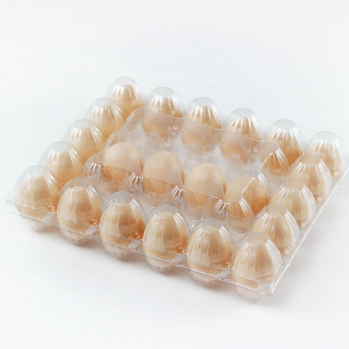 Free Sample 30 Section High Quality Plastic Clear Egg box Egg Tray for Wholesale