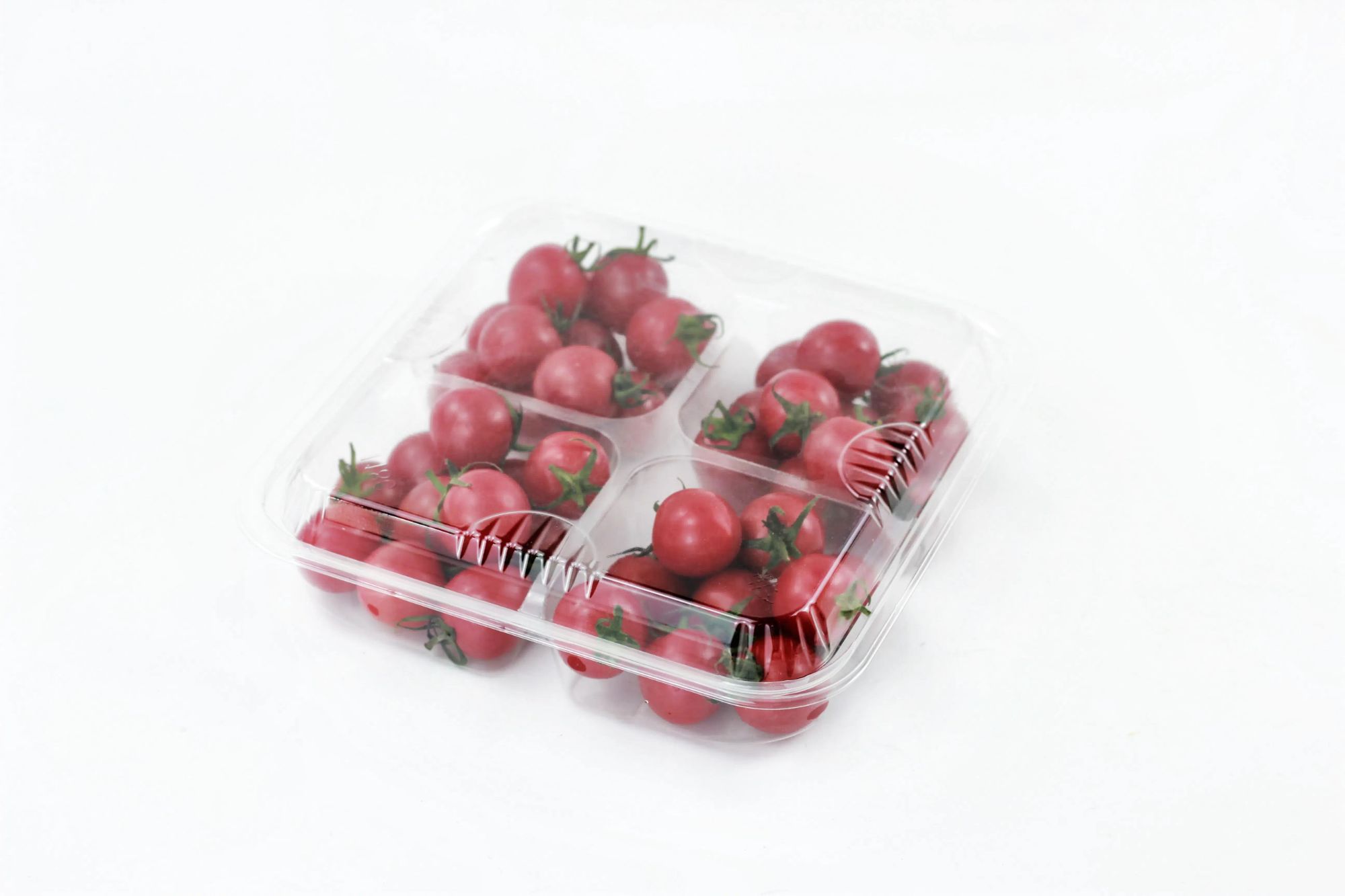 Free Sample 4 Section Disposable Clear Plastic Food Box with Lid for Fruit Snack Nuts