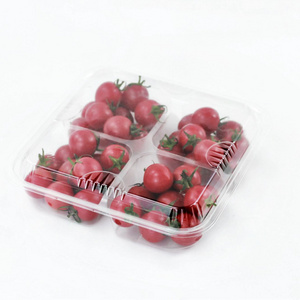 Free Sample 4 Section Disposable Clear Plastic Food Box with Lid for Fruit Snack Nuts