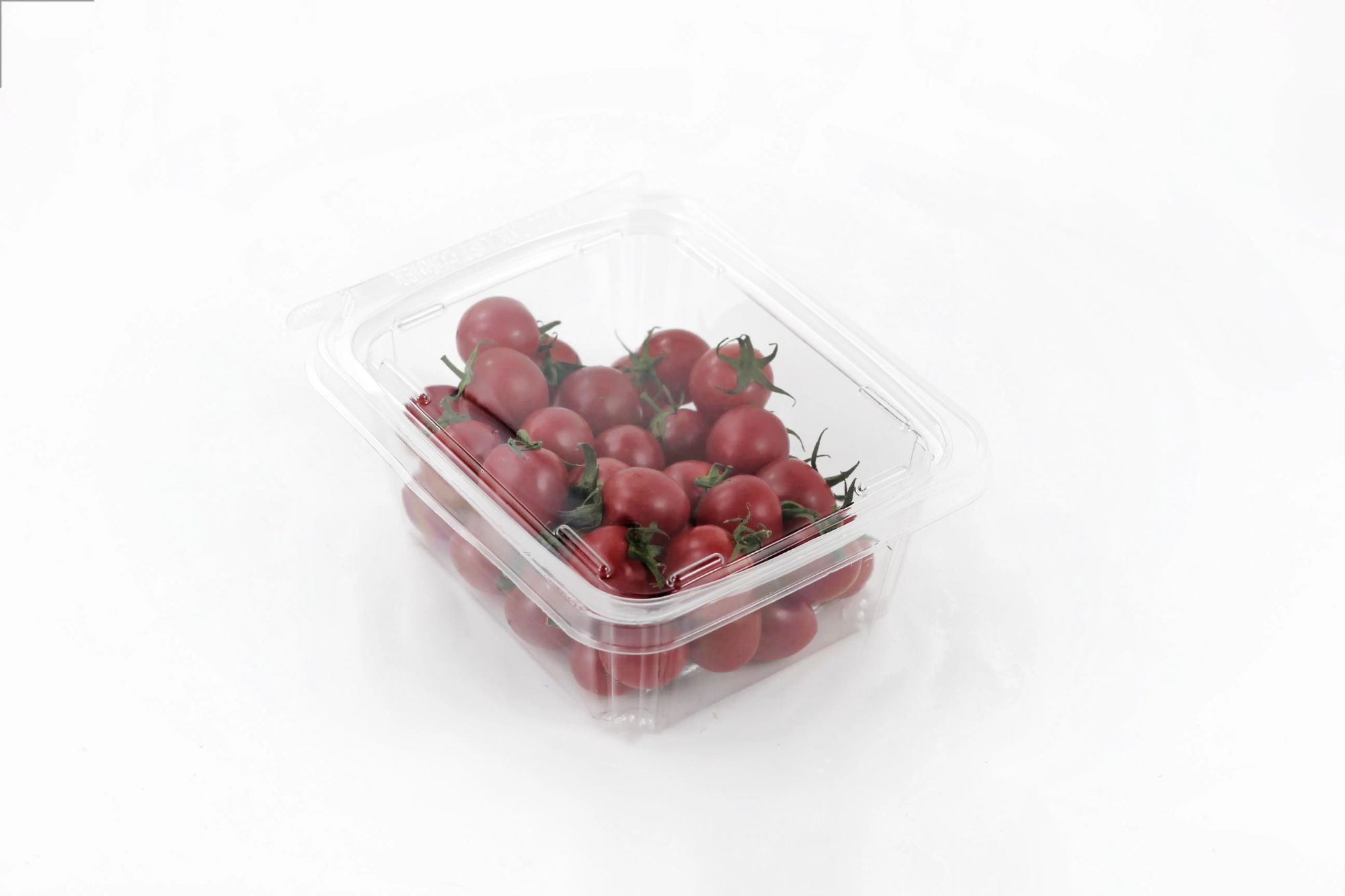 Free Sample 4 Section Disposable Clear Plastic Food Box with Lid for Fruit Snack Nuts