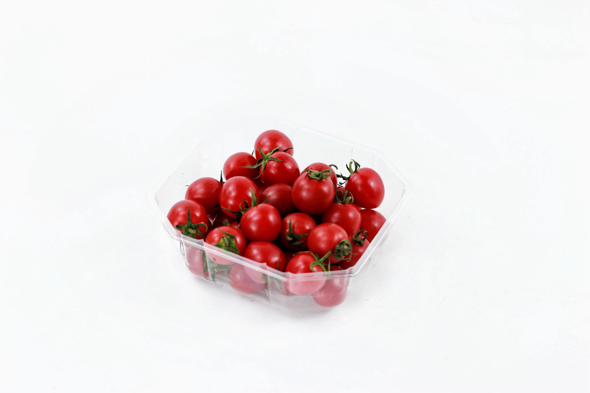 Free Sample 4 Section Disposable Clear Plastic Food Box with Lid for Fruit Snack Nuts