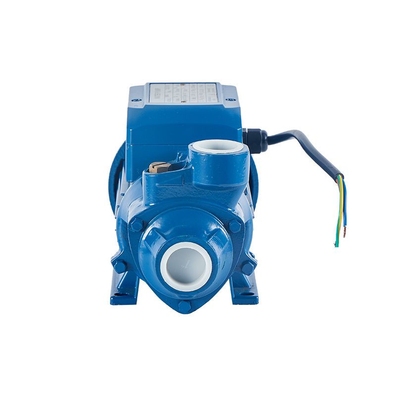 Factory Direct Sales 0.5hp Domestic Use Agricultural And Garden Irrigation Pressure Water Pumps