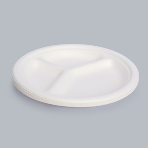 10 inch 3-grid dinner plate food container eco-friendly tableware disposable plate Fiber Bagasse Biodegradable