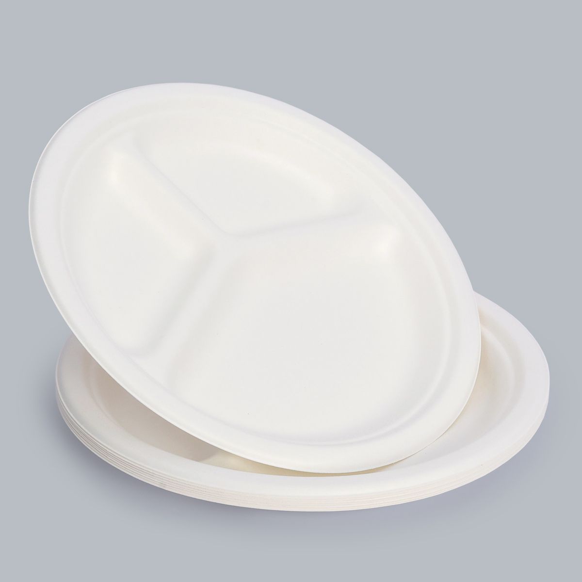 10 inch 3-grid dinner plate food container eco-friendly tableware disposable plate Fiber Bagasse Biodegradable