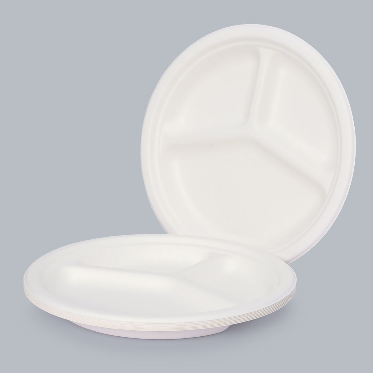 10 inch 3-grid dinner plate food container eco-friendly tableware disposable plate Fiber Bagasse Biodegradable