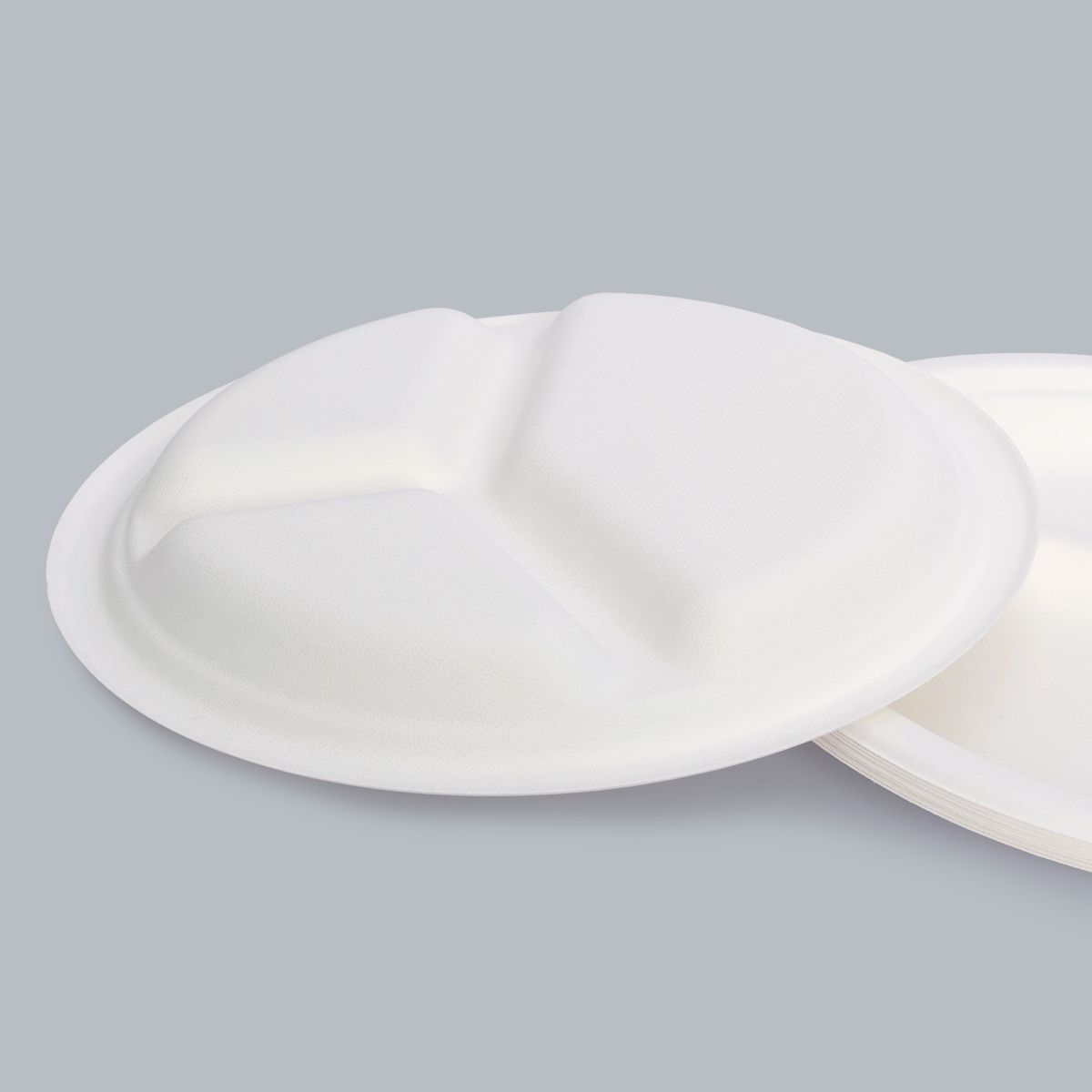 10 inch 3-grid dinner plate food container eco-friendly tableware disposable plate Fiber Bagasse Biodegradable