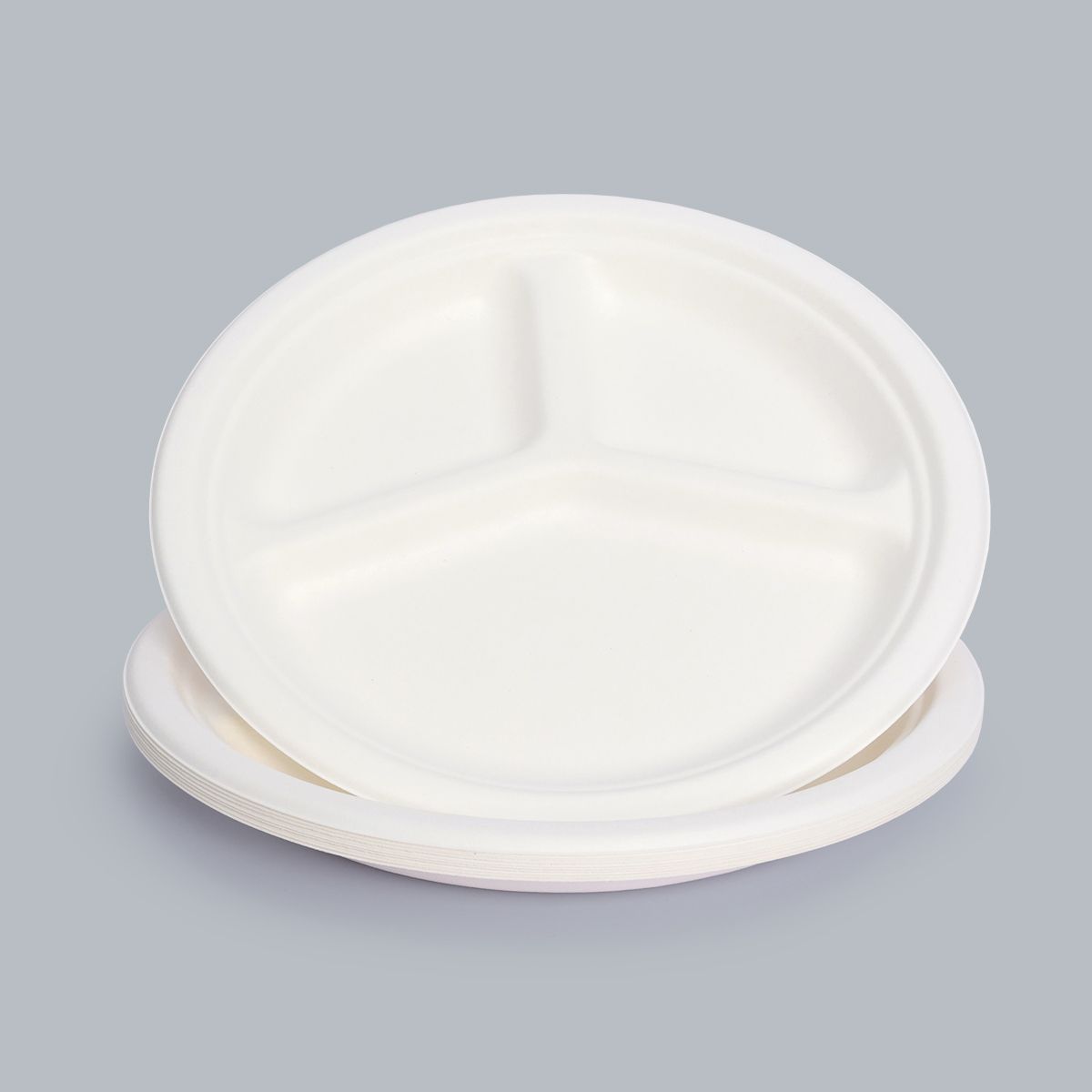 10 inch 3-grid dinner plate food container eco-friendly tableware disposable plate Fiber Bagasse Biodegradable