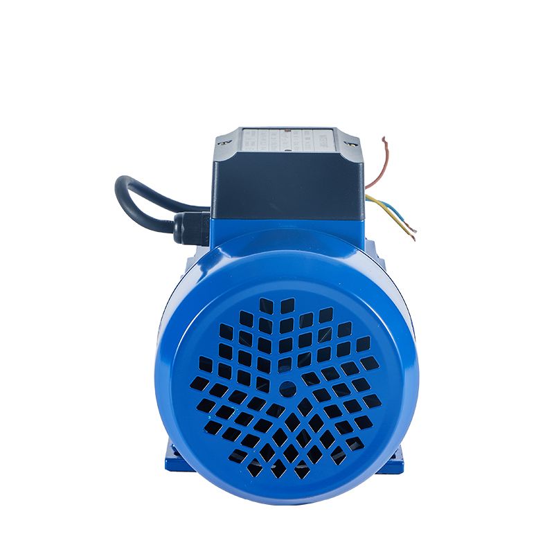 High Efficiency Qb60 Electric Agricultural Micro Auto Garden Peripheral Water Pump