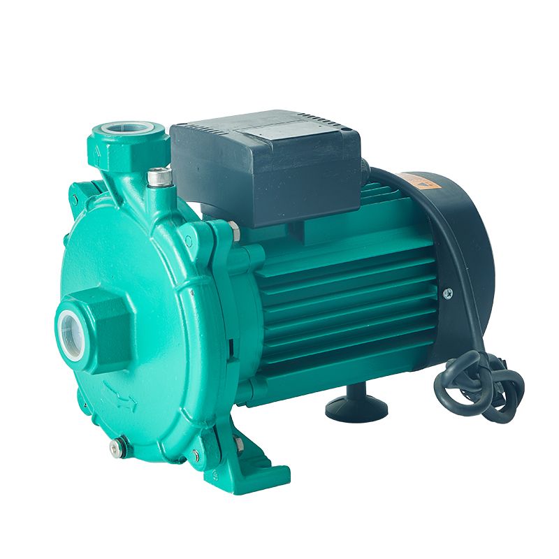 Wholesale 0.5HP 220V 60HZ Heavy Flow Single-Stage Centrifugal Water Pump